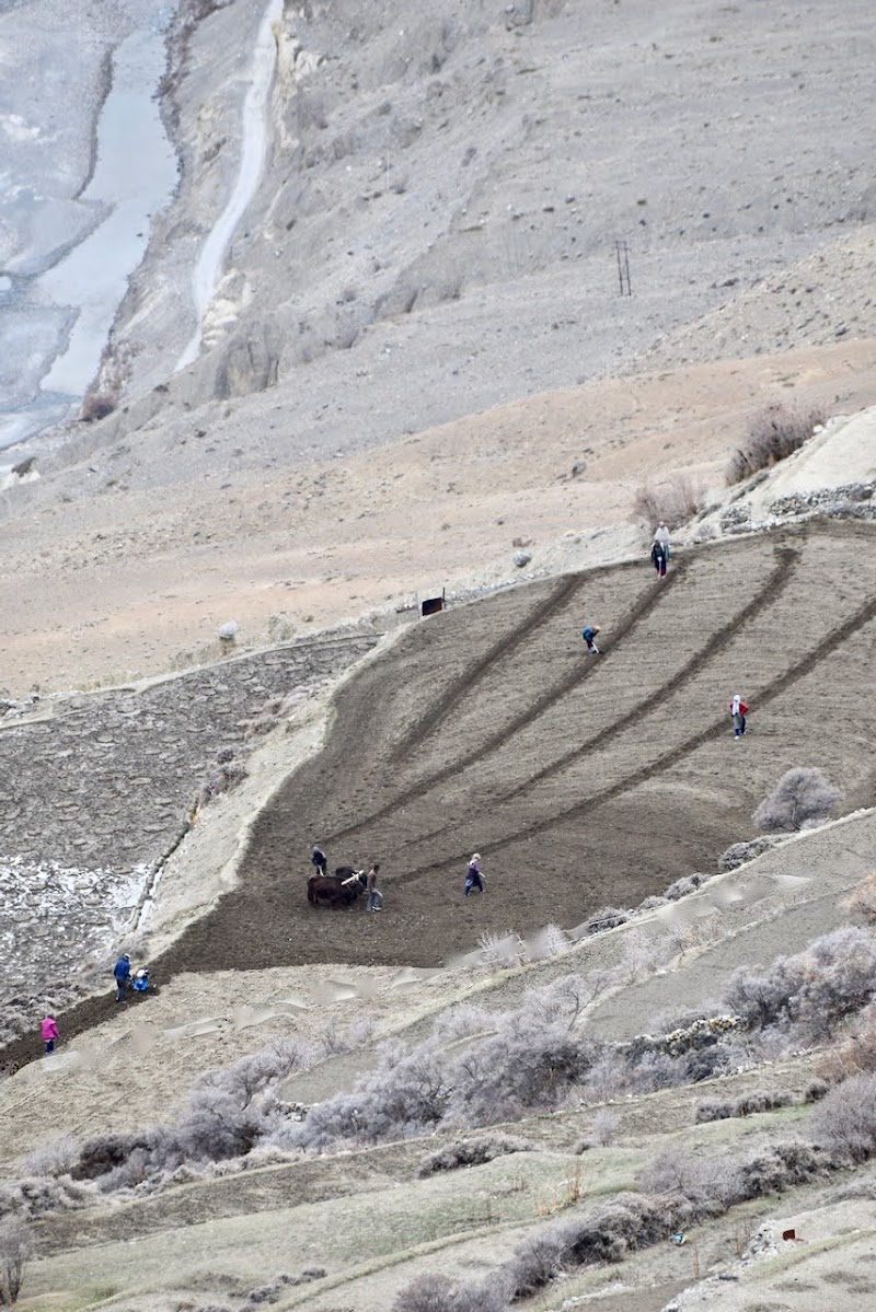 Dhankar view point - Dhankar view point, 36Q9+W4P, Dhar Nipti, Himachal Pradesh 172113, India
