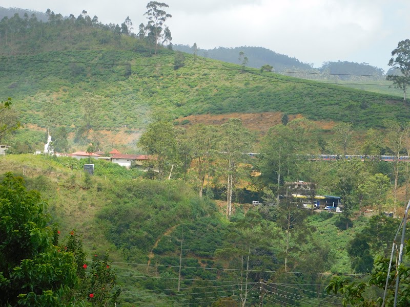 Nanu-Oya View Point