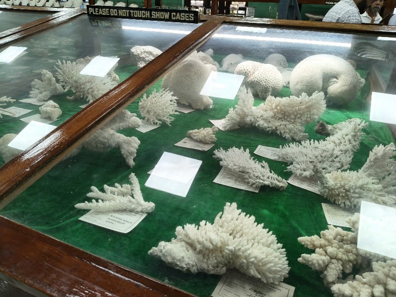 Marine Aquarium and Museum - Marine Aquarium and Museum, HJGR+H4J, Kavaratti, Lakshadweep 682555, India