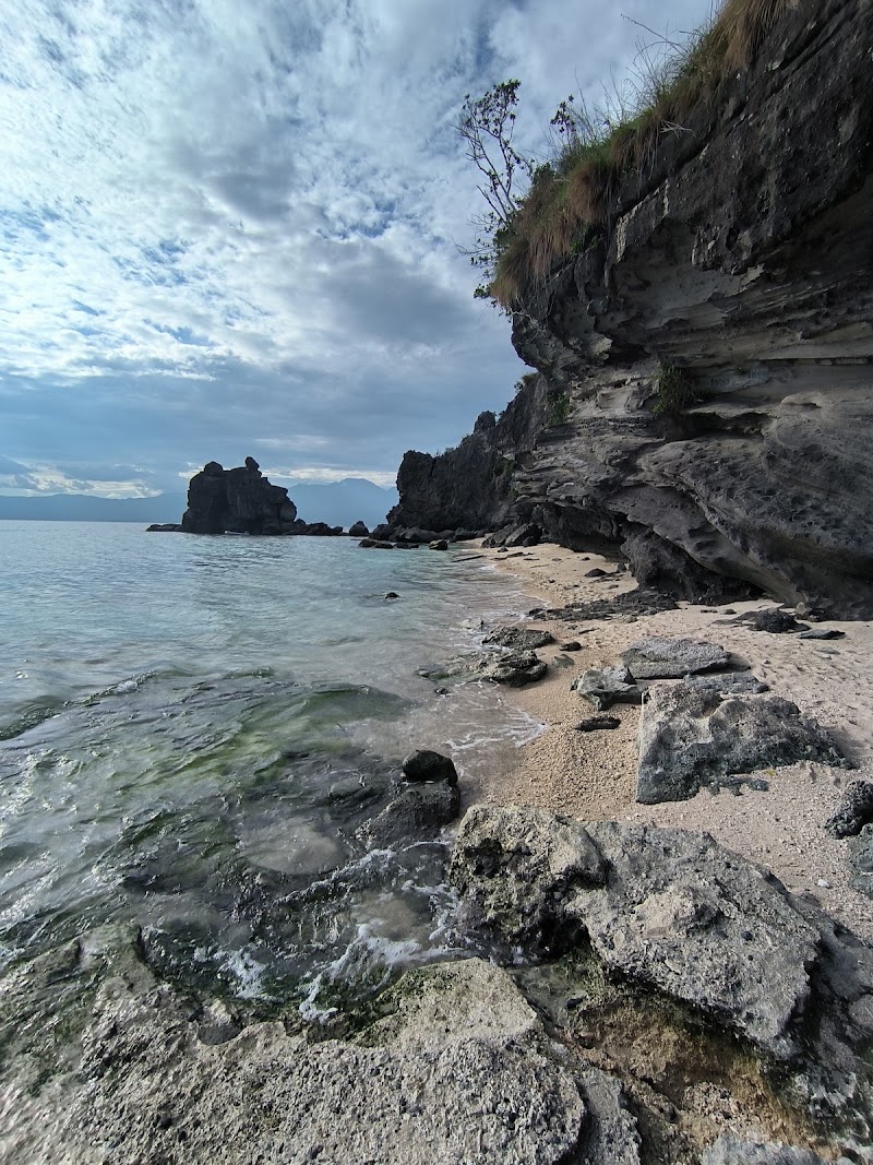 Apo Island - Apo Island, Dauin, 6217 Negros Oriental, Philippines