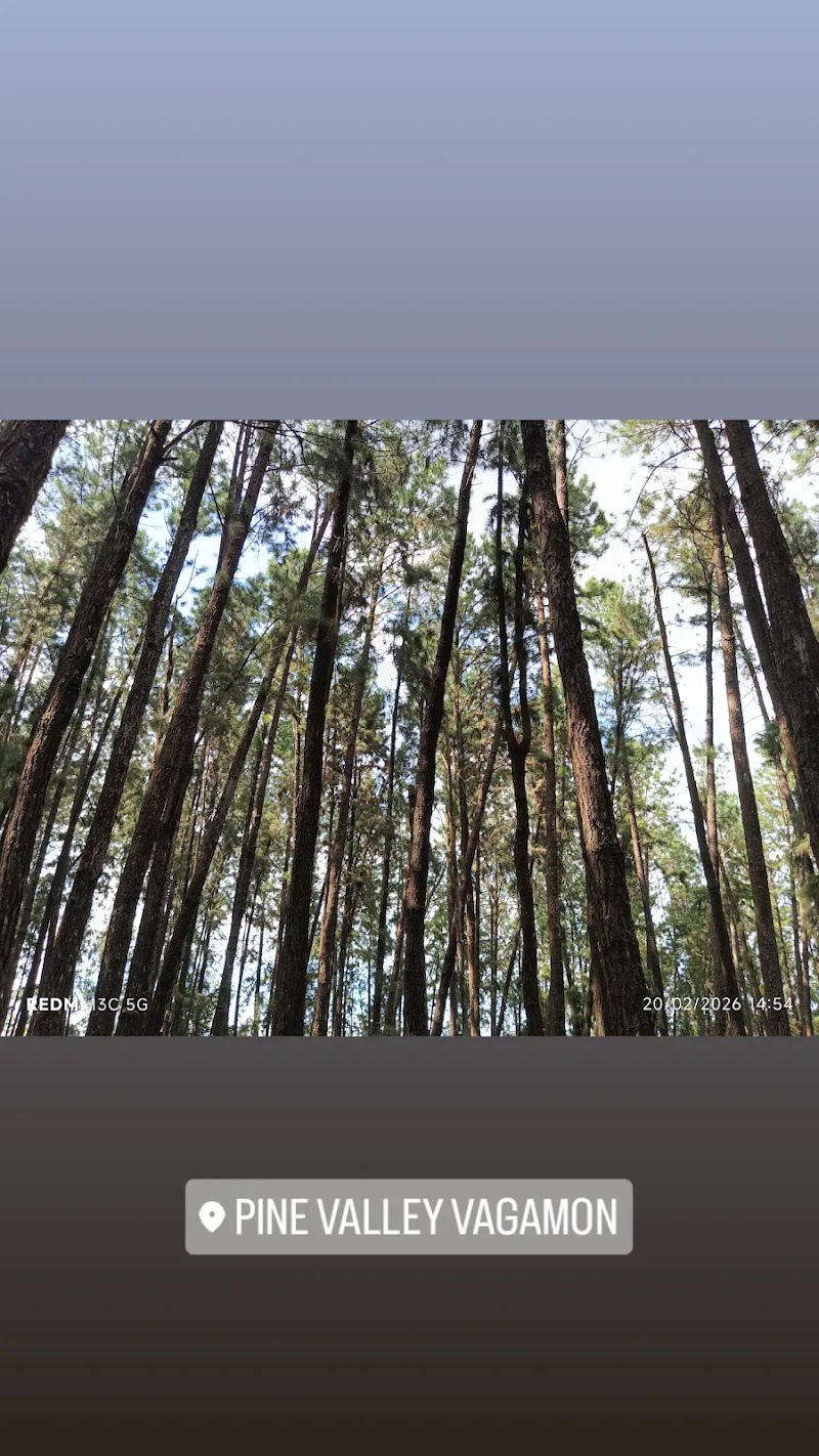 Pine Valley Vagamon - Pine Valley Vagamon MW4H+3J2, Vedikuzhi, Kolahalamedu, Keralam 685501, India