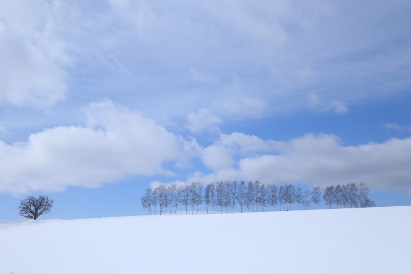 Patchwork Road (Biei) - Patchwork Road (Biei) 北海道上川郡美瑛町大久保協生, Asahi, Biei, Kamikawa District, Hokkaido 071-0216, Japan