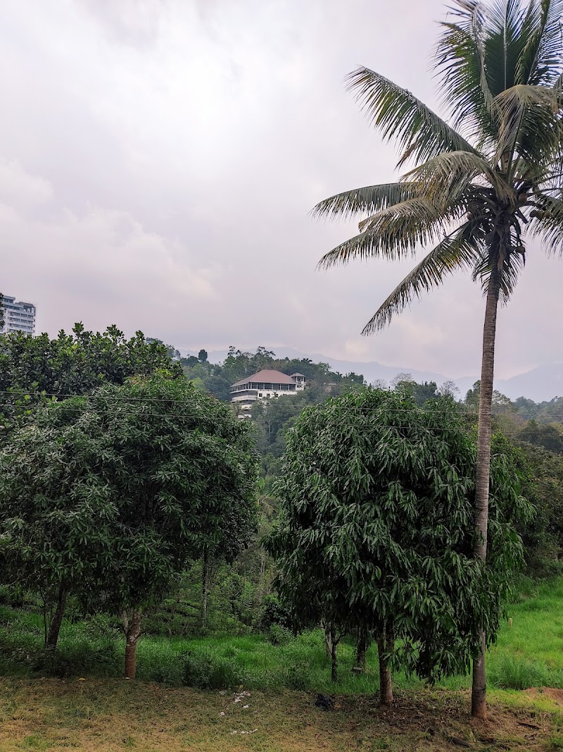 Velvet Revive Munnar - Velvet Revive Munnar Maryland, Anachal - Kunchithanny Rd, near Chithirapuram, Munnar, Kerala 685565, India
