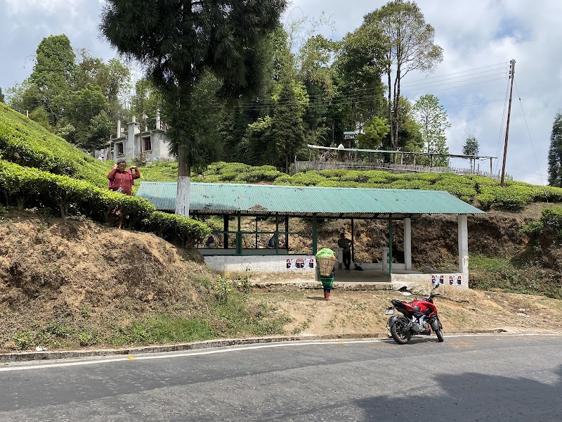 Tashiding homestay & Restaurant - Tashiding homestay & Restaurant Mirik, West Bengal 734214, India