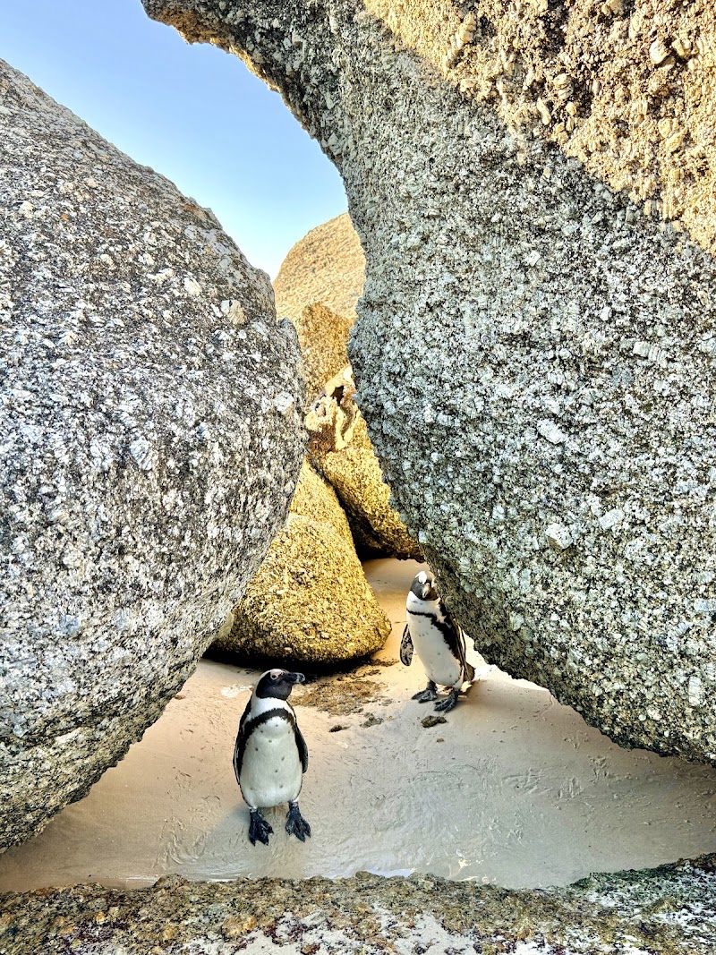 Middle Beach - Middle Beach, Boulders Beach, Kleintuin Rd, Simon's Town, Cape Town, 7995, South Africa