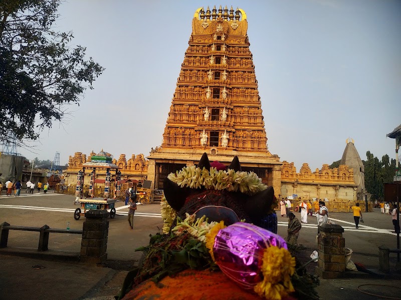 Nanjanagudu - Nanjanagudu, Karnataka, India