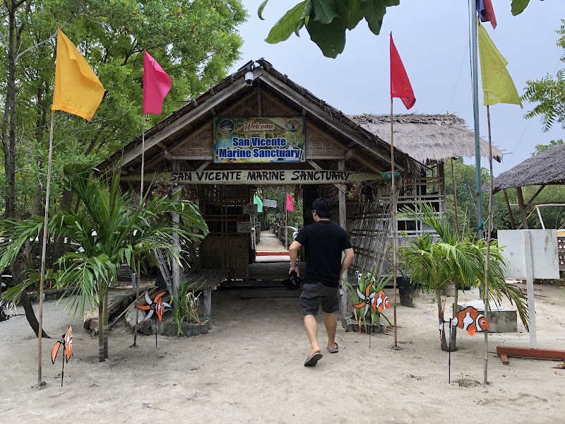 San Vicente Marine Sanctuary - San Vicente Marine Sanctuary, 62XF+C4Q, Lapu-Lapu, Philippines