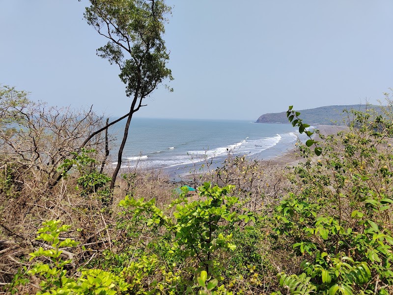 Harihareshwar Beach - Harihareshwar Beach, X2WC+363, Harihareshwar, Devaghar, Maharashtra 402110, India