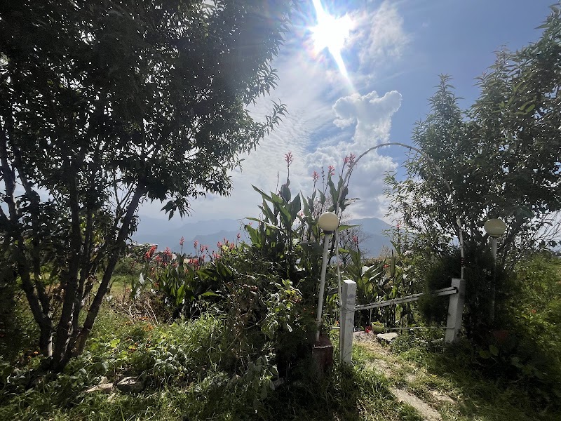 Kanatal stay - Kanatal stay, Chamba ,moossoree road, jadipani, Kanatal, Sakalana Range, Uttarakhand 249145, India