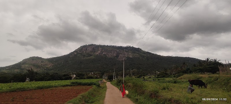 Nandi Foothills Farmstay - Nandi Foothills Farmstay, Omkar Ashram Road, Sultanpet, Sulthanpet, Karnataka 562103, India