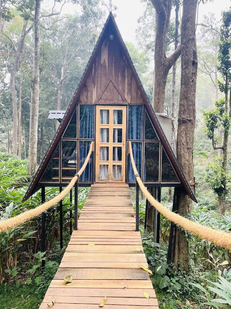 Wildvibes Wayanad - Wildvibes Wayanad, Kalladi, ayyappa temple road, Vellarimala, Kalladi, Keralam 673577, India