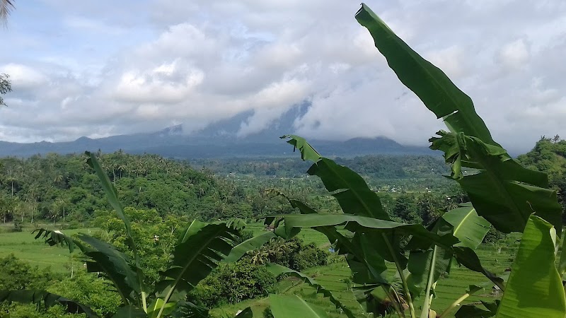 Bukit Cinta - Bukit Cinta, Abyandauh,Pangi Karangasem, HJF5+FGV, Karangasem, Kec. Karangasem, Kabupaten Karangasem, Bali 80811, Indonesia