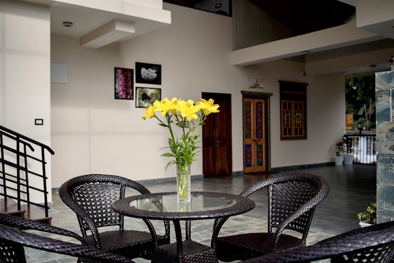 Treat Rooftop Cafe & Bar - Treat Rooftop Cafe & Bar Tibet Rd, behind BL House, Arithang, Gangtok, Sikkim 737101, India