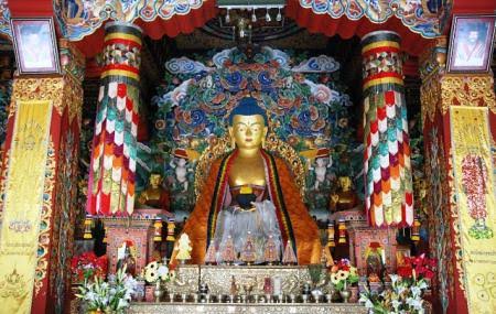 The Royal Bhutanese Monastery - The Royal Bhutanese Monastery MXRM+WQ8, Bodh Gaya, Bihar 824231, India