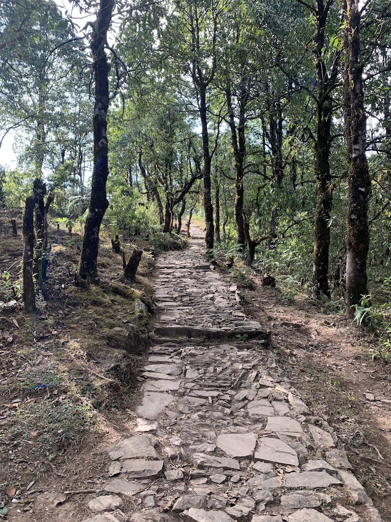 Australian Camp Trail head - Australian Camp Trail head 7RVC+MF, Dhampus 33700, Nepal
