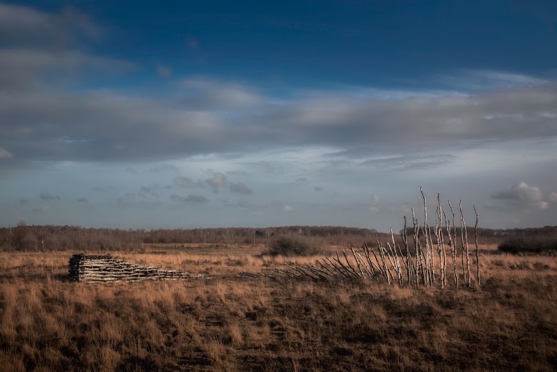Nationaal Park De Groote Peel - Nationaal Park De Groote Peel, Moostdijk 15, 6035 RB Ospel, Netherlands
