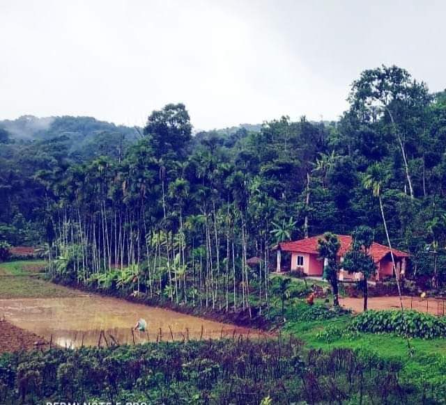 Sakleshpur Homestay / Horrti Green Valley |18 km from sakleshpur town| 2000 per person - Sakleshpur Homestay / Horrti Green Valley |18 km from sakleshpur town| 2000 per person Nudarahalli village, kyanhalli, WQWQ+3H8, Bengaluru - Mangaluru Hwy, Sakleshpura, Kalaginamanchahalli, Karnataka 573134, India