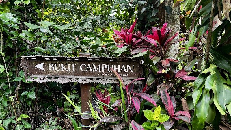 Campuhan Ridge Walk - Campuhan Ridge Walk Jl. Raya Ubud, Kelusa, Kec. Payangan, Kabupaten Gianyar, Bali, Indonesia