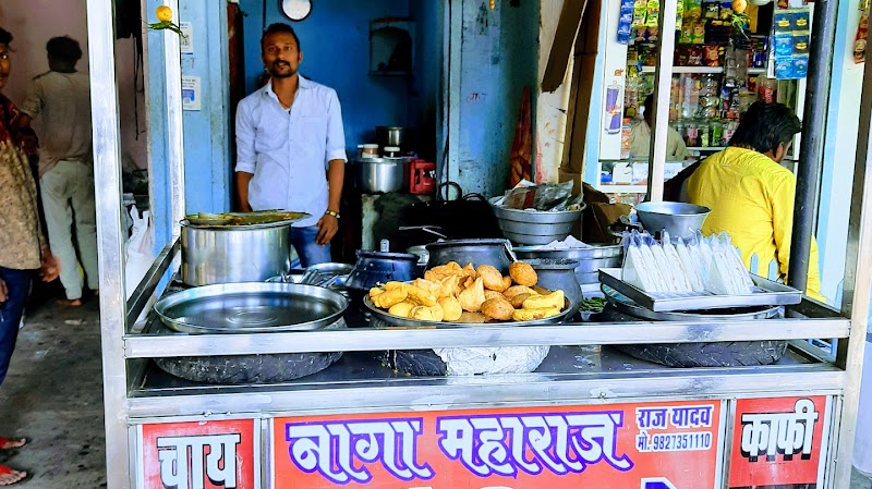 Guru Naga maharaj caters - Guru Naga maharaj caters RDA comple, Shop no 10, Vivekanand Nagar, Taigore Nagar, Raipur, Chhattisgarh 492001, India