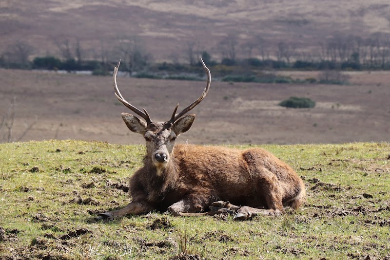 Glen Etive - Glen Etive Ballachulish PH49 4HZ, UK