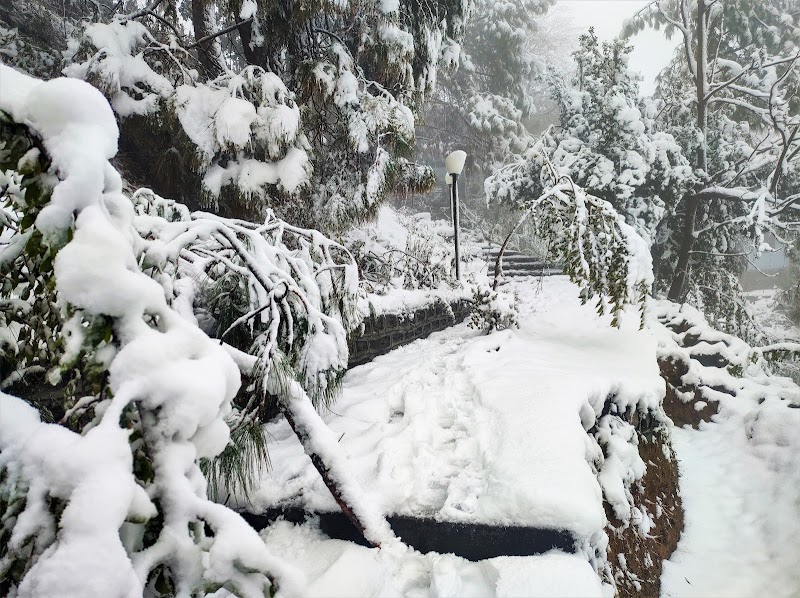 Mohan's Mud Houses - Mohan's Mud Houses, Binsar Road, Kasar Devi Temple, PO, Dinapani, Mat, Uttarakhand 263601, India