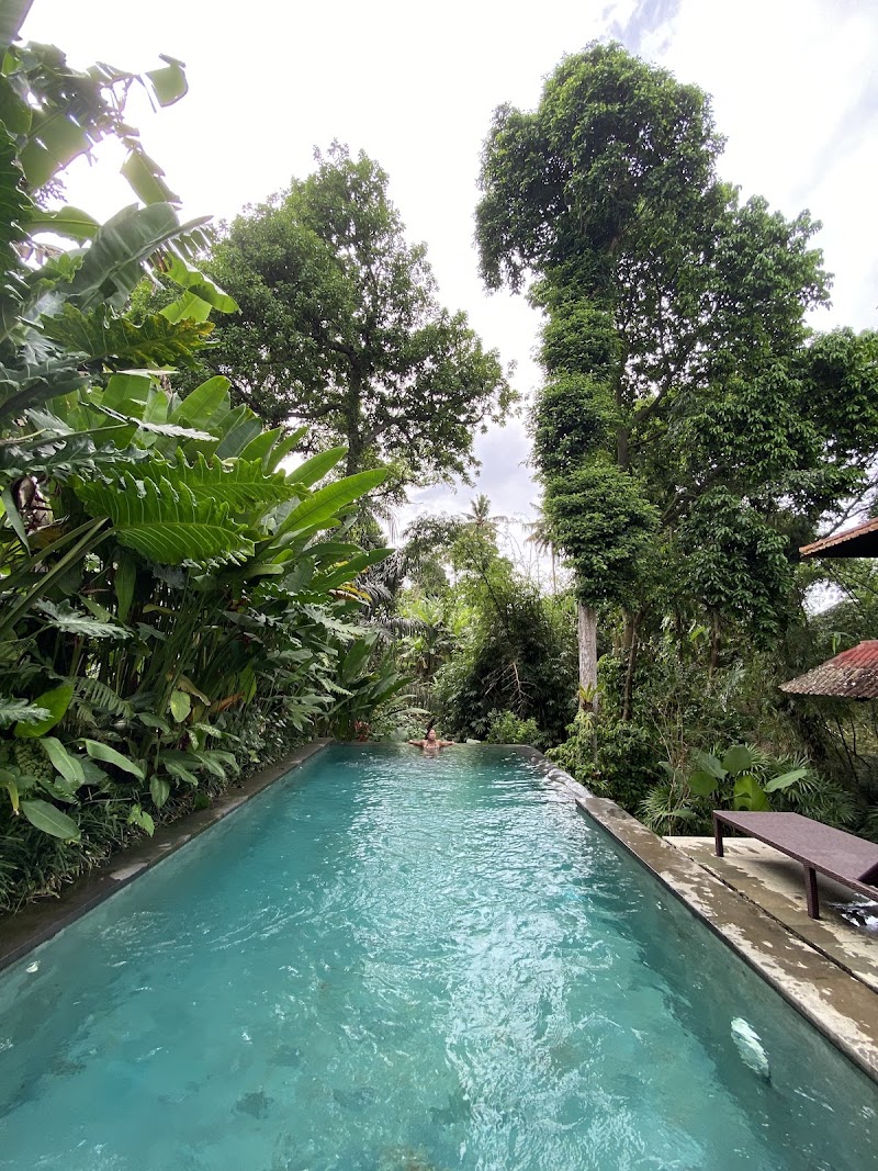 Aji Lodge Bungalows and Gallery - Aji Lodge Bungalows and Gallery, Jl. Sukma Kesuma No.11, Peliatan, Kecamatan Ubud, Kabupaten Gianyar, Bali 80571, Indonesia