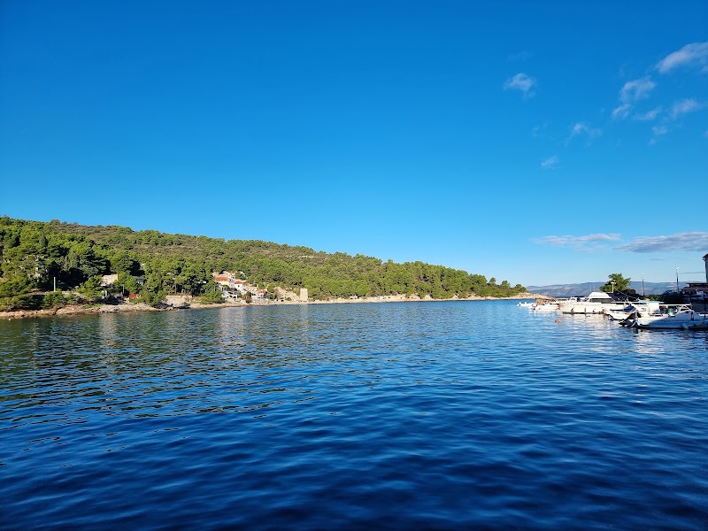 Dalmatian coastal - Dalmatian coastal, Croatia