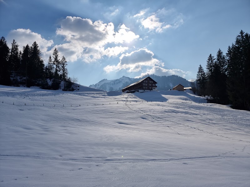 Camping Bilgeri - Camping Bilgeri Krähenberg 122, 6952 Sibratsgfäll, Austria