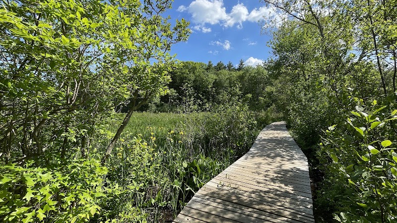 Mass Audubon's Ipswich River Wildlife Sanctuary - Mass Audubon's Ipswich River Wildlife Sanctuary 87 Perkins Row, Topsfield, MA 01983, USA