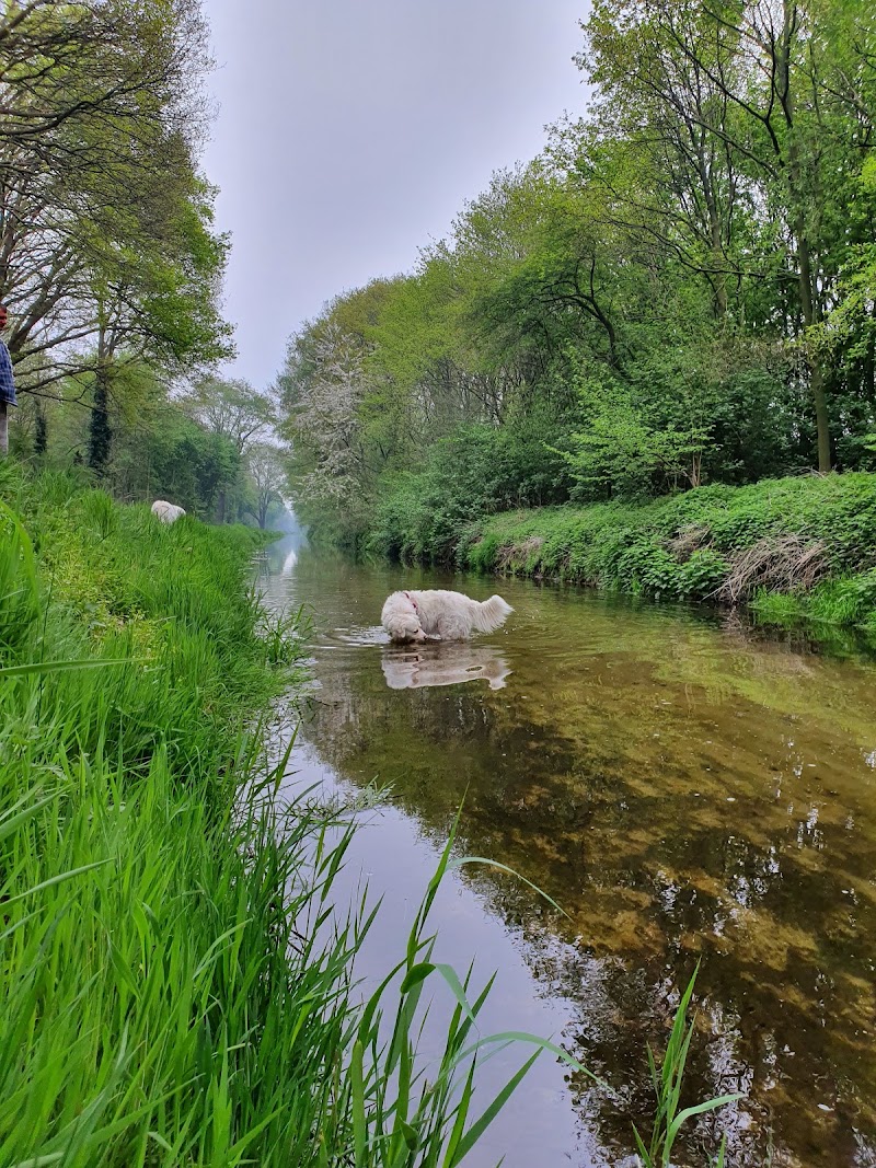 Beringe - Beringe, Netherlands