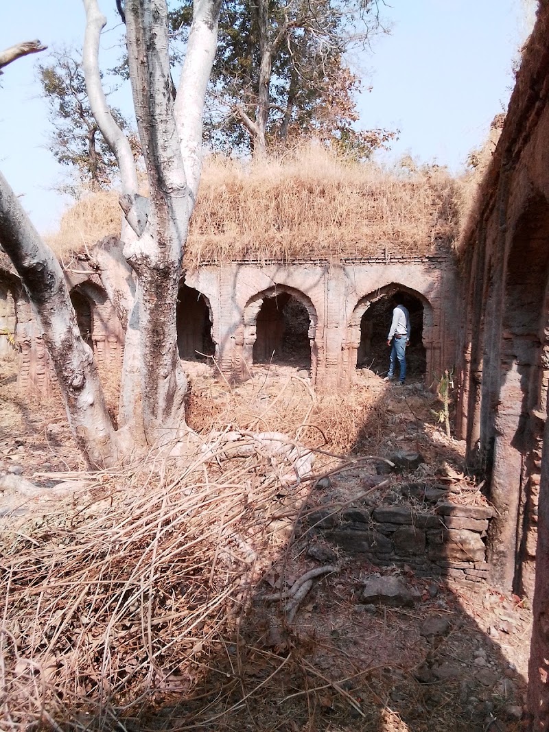 Madla - Madla, Madhya Pradesh 488001, India