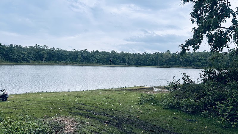 Dandeli Wildlife Sanctuary - Dandeli Wildlife Sanctuary, J.N Rd, solad complex, Dandeli, Karnataka 581325, India