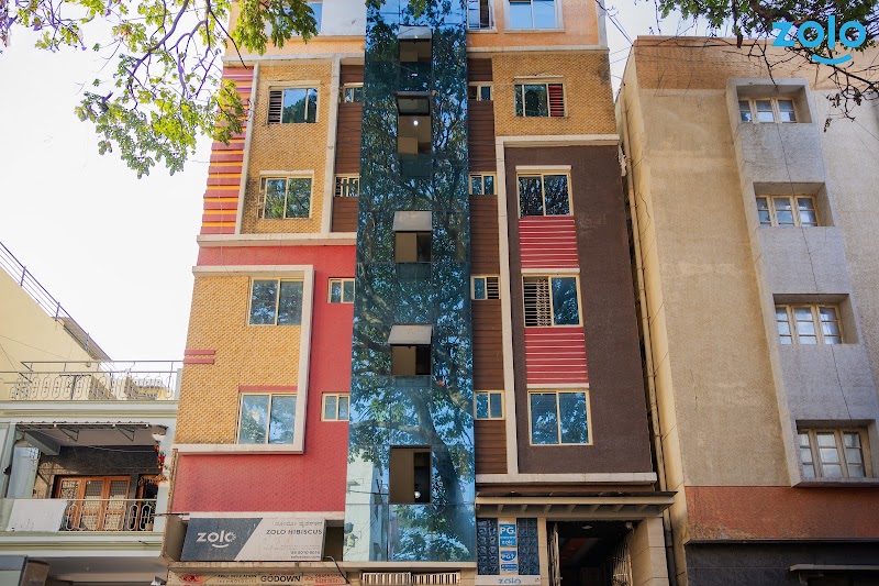 Zolo Hibiscus - Best PG in BTM Layout | Coliving PG