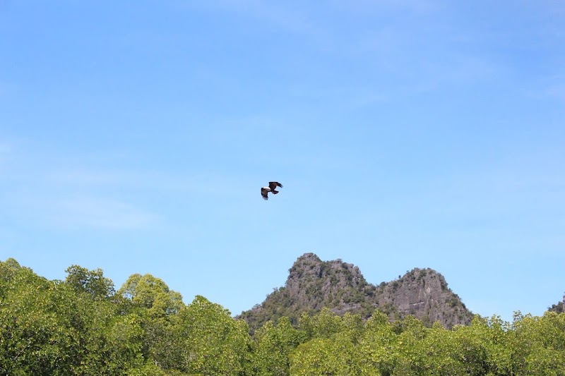Kilim Karst Geoforest park Nursery - Kilim Karst Geoforest park Nursery KILIM GEOFOREST PARK, MUKIM, Kampung Kilim, 07000 Langkawi, Kedah, Malaysia