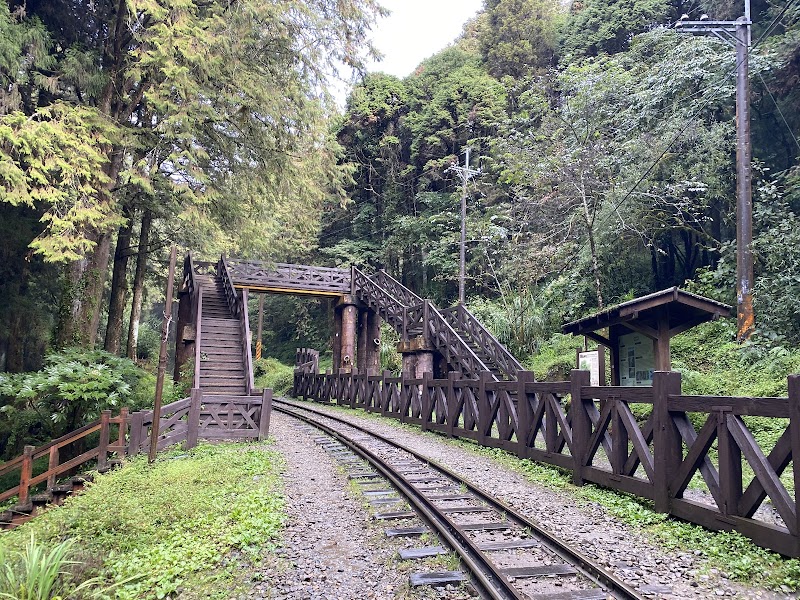 Tashan Trail - Tashan Trail 605 Zhongzheng Village, Alishan Township, Chiayi County, Taiwan 605