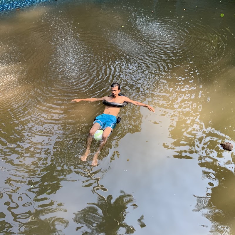 Bliss Circus - Bliss Circus Ourem Rd, inside Traverse Hostel, Mohanbagh, Palolem, Canacona, Goa 403702, India