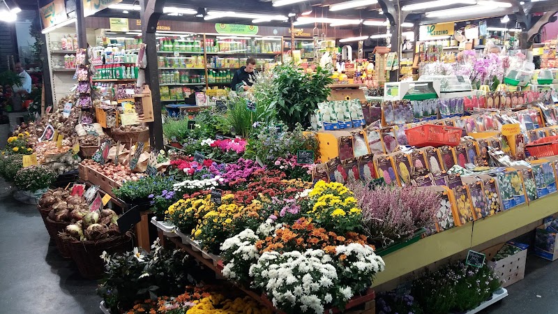 Kleinmarkthalle frankfurt - Kleinmarkthalle frankfurt, Hasengasse 5-7, 60311 Frankfurt am Main-Innenstadt I, Germany
