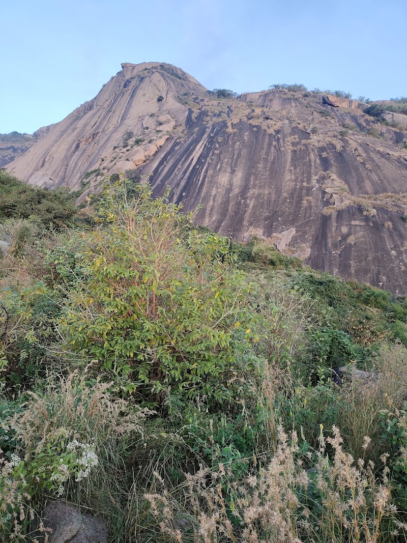 Bananthimari Betta - Bananthimari Betta Bananthimari Betta, Karnataka 562117, India