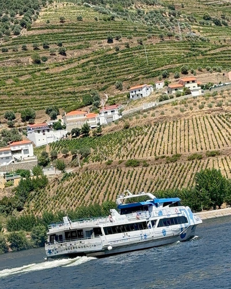 Douro Valley Wine Tours | Transfers - Douro Valley Wine Tours | Transfers, Rua de Vilar, 4050-626 Porto, Portugal