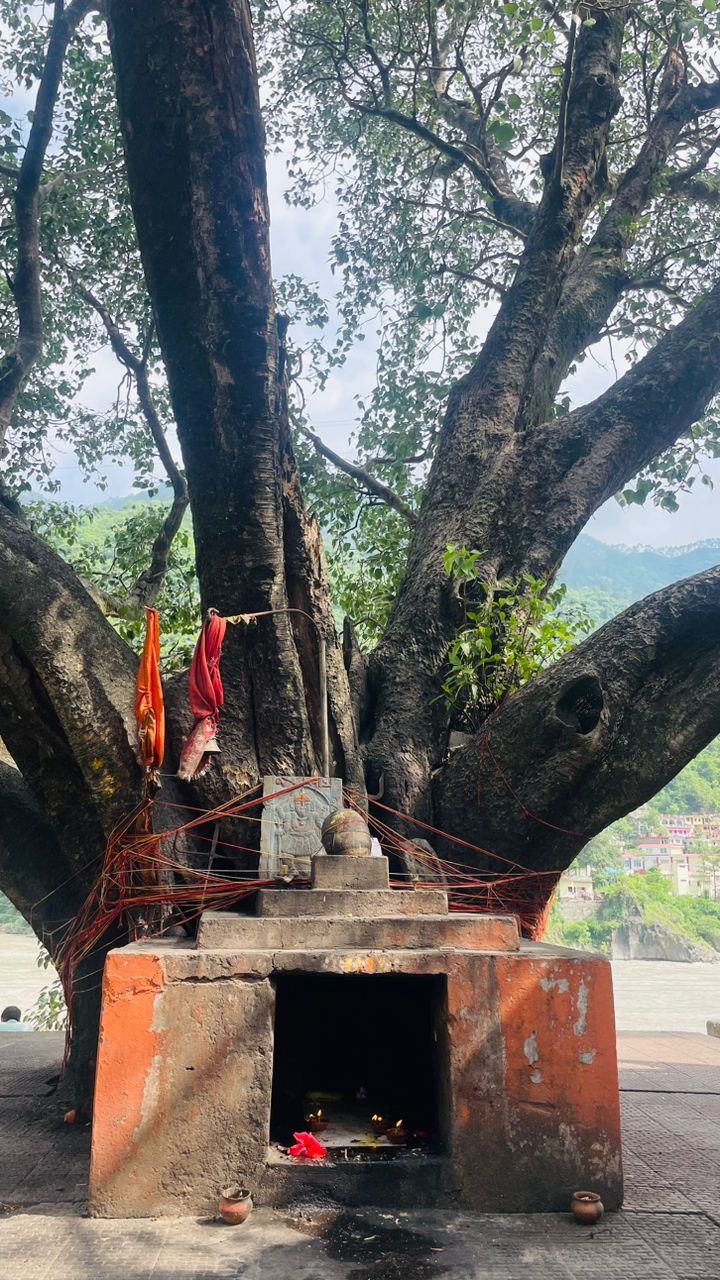 Karnaprayag Sangam - Karnaprayag Sangam, 7678+QCH, Karnaprayag, Uttarakhand 246444, India