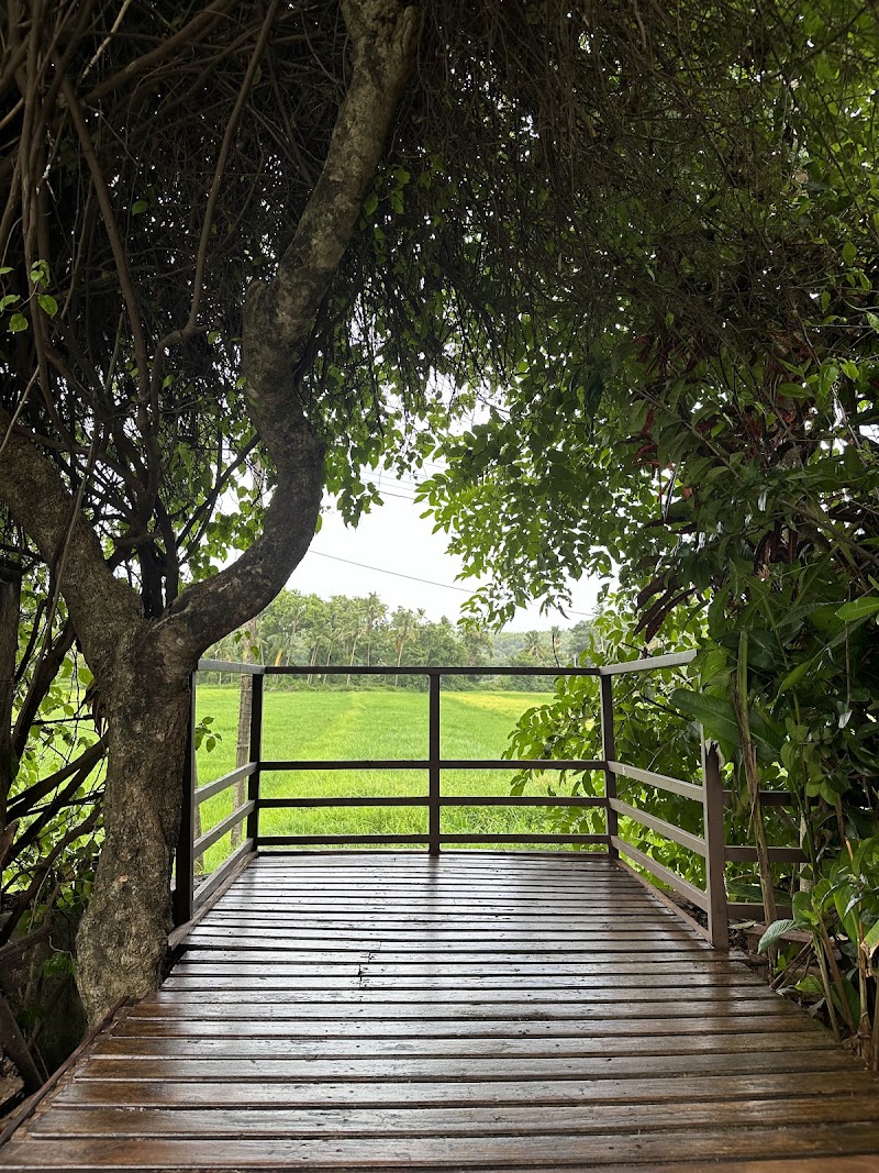 Kamalaya Assagao - Kamalaya Assagao House No, Socol Vaddo, 278/2, behind Vinayak Bar & Restaurant, near Dattaray Temple, Bouta Waddo, Assagao, Goa 403507, India