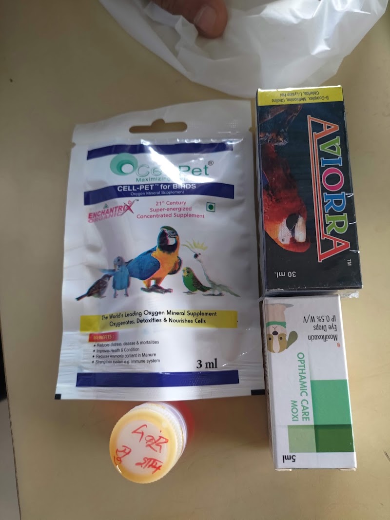 Pet Health Clinic - Dr. Padam Jain | Pet Clinic in Raipur | Veterinary Doctor in Raipur. - Pet Health Clinic - Dr. Padam Jain | Pet Clinic in Raipur | Veterinary Doctor in Raipur. Shop No. 7, Ashoka Tower, Shankar Nagar, Raipur, Chhattisgarh 492004, India