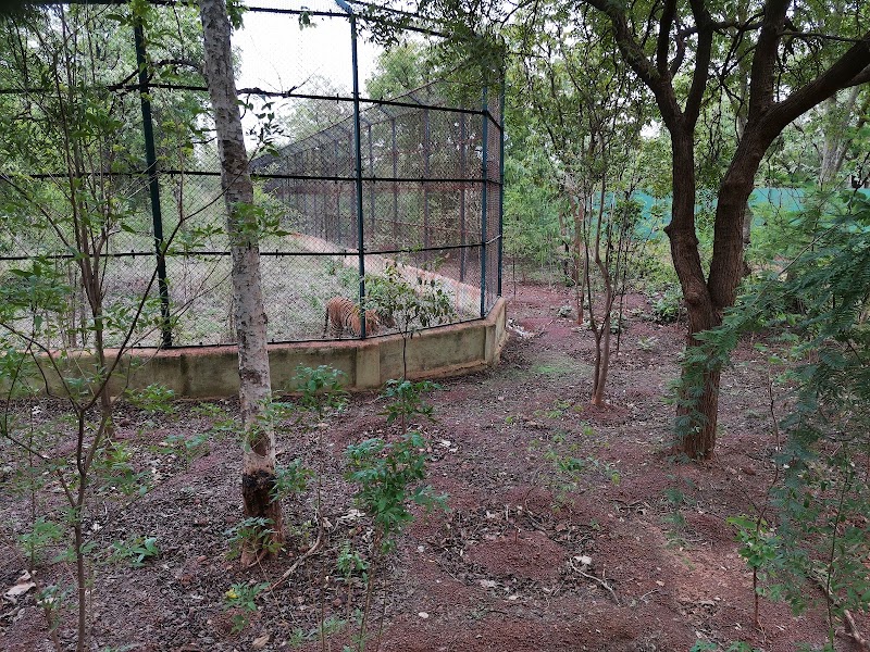 Wild life Sanctuary - Wild life Sanctuary 3QVJ+JHM, Atal Nagar-Nava Raipur, Chhattisgarh 493661, India