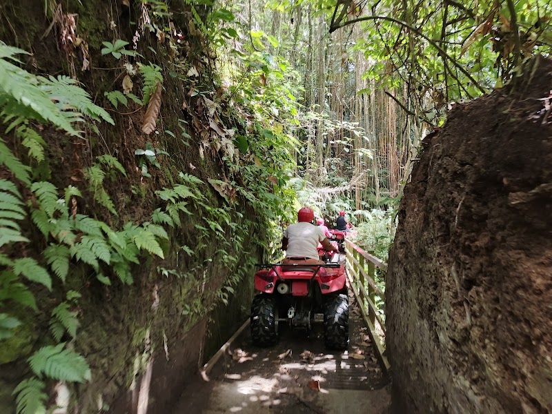 Ubud ATV Quad - Ubud ATV Quad Jl. Raya Singapadu No.10, Singapadu Kaler, Kec. Sukawati, Kabupaten Gianyar, Bali 80571, Indonesia