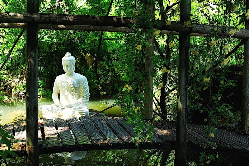 Giardino Botanico Fondazione André Heller - Giardino Botanico Fondazione André Heller Via Roma, 2, 25088 Gardone Riviera BS, Italy