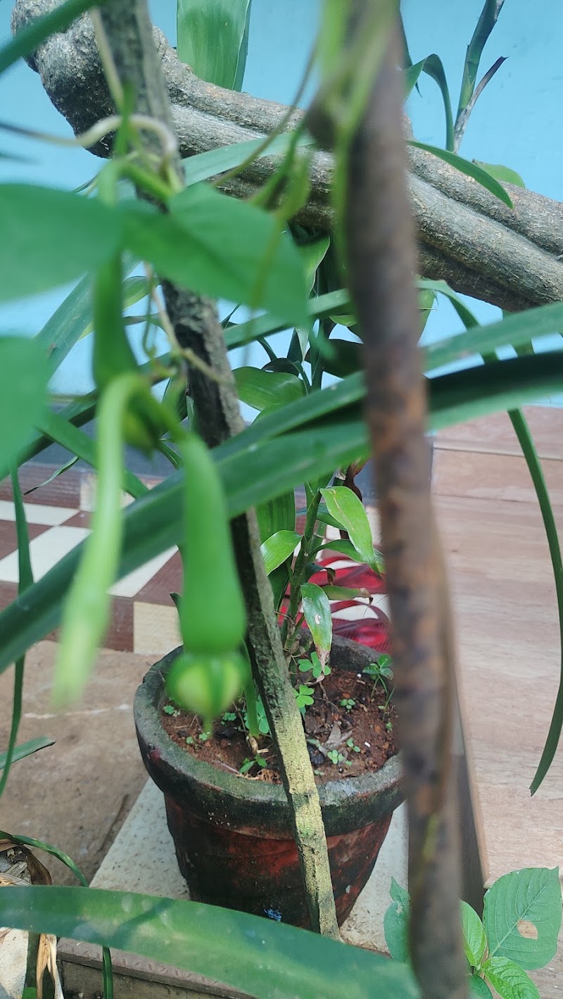 Spice Garden - Spice Garden, Mammattikanam,Kuthungal road, Rajakkad, Kuthumkal, Keralam 685566, India