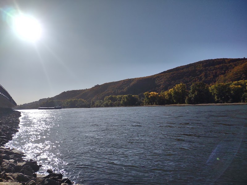 Niederwald in Rudesheim - Niederwald in Rudesheim, 65385 Rüdesheim am Rhein, Germany