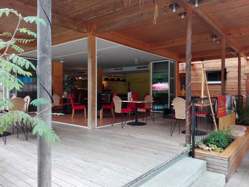 Camping Mexico - Renate Heiler und Mitges. - Camping Mexico - Renate Heiler und Mitges. Hechtweg 4, 6900 Bregenz, Austria