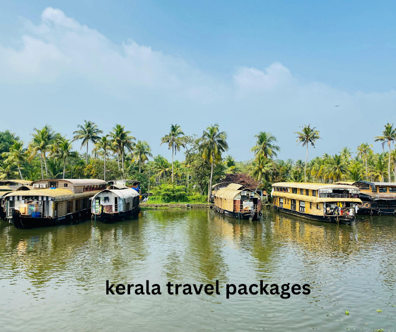 Munnar Honeymoon Packages