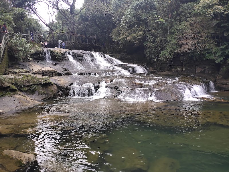 Riwai Living-root Bridge - Riwai Living-root Bridge 6V4X+F2X, Surok Mawlynnong, Mawlynnong, Meghalaya 793110, India